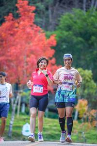 BIB: 8133, 8128
                            <button type="button" onclick="openModal(19240902)" class="btn btn-primary btn-sm float-right btn-popup" data-toggle="modal" data-target=".modal-high-quality">
                        <i class="fas fa-shopping-cart"></i> Add to Cart
                    </button>
                                            <button type="button" onclick="isThisMe(19240902, true)" class="btn btn-success btn-sm float-right btn-popup btn-isme hidden" data-toggle="tooltip" data-placement="bottom" title="นี่คือรูปของคุณใช่ไหม คลิกที่นี่เพื่อเอาเข้าอัลบั้ม">
                        <i class="fas fa-plus"></i> Add to album
                    </button>
                    <button type="button" onclick="isThisMe(19240902, false)" class="btn btn-warning btn-sm float-right btn-popup btn-isnotme hidden">
                        <i class="fas fa-ban"></i> Remove from album
                    </button>